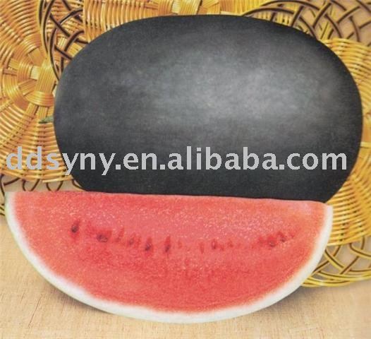 black Watermelon seed