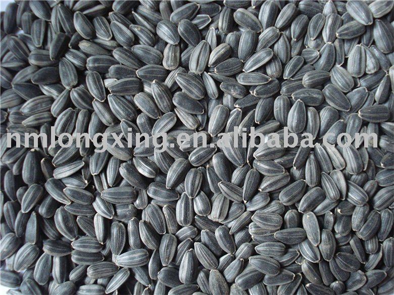 SUNLFOWER SEEDS