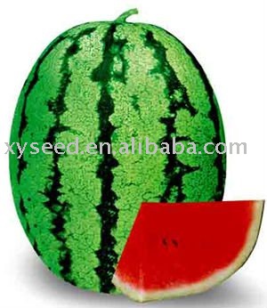 Big fruit  light   green  watermelon seeds