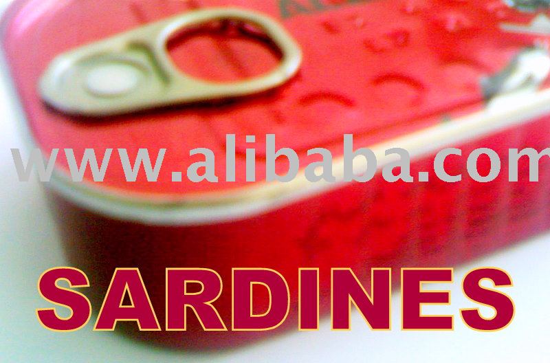 CANNED  SARDINES  IN VEGETABLE OIL  from   Morocco 