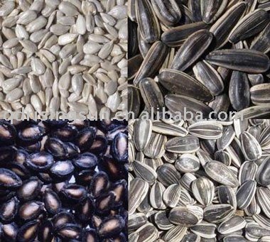 sunflower seeds