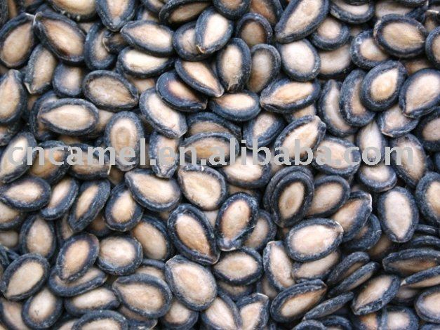black watermelon seed