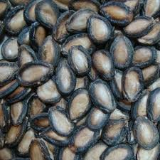 Melon Seeds