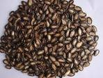 Melon Seeds