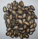 Quality Melon Seeds avaliable for Sale