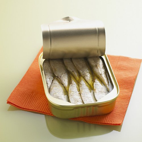 canned sardines products,Turkey canned sardines supplier