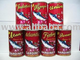 Atlantic sardines in tomato sauc