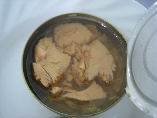 Canned Tuna Chunks