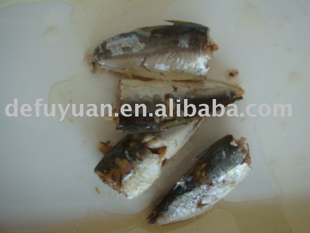 sardine