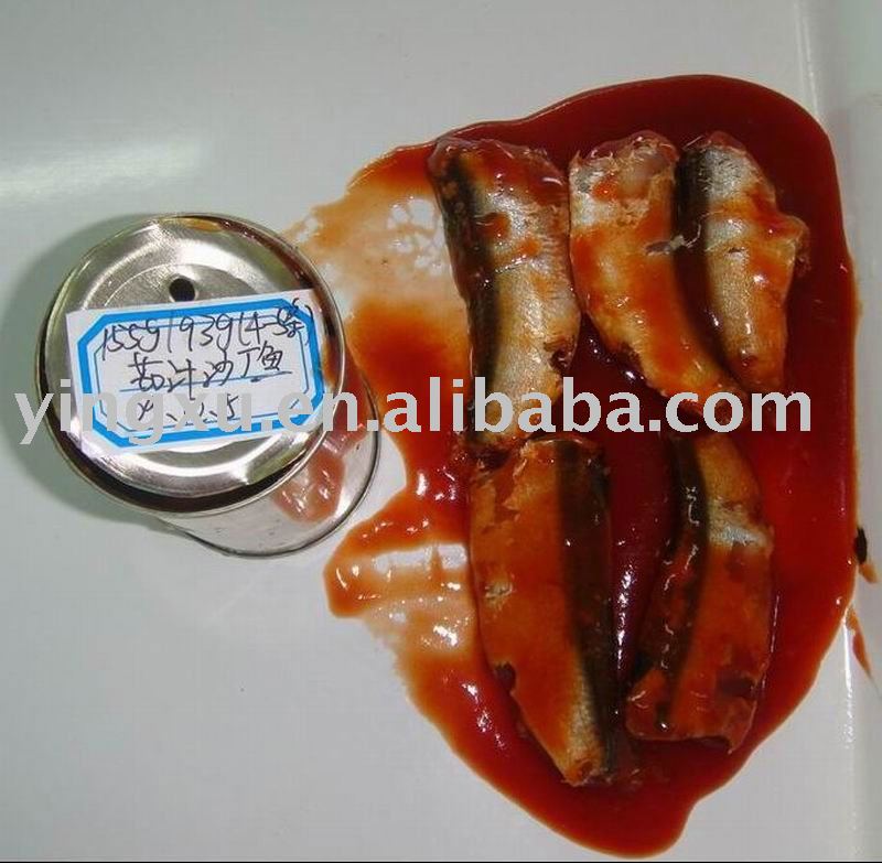 canned sardine in  tomato   paste 