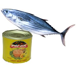 Canned  Skipjack   Fish 