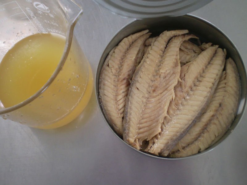 canned mackerel fillets