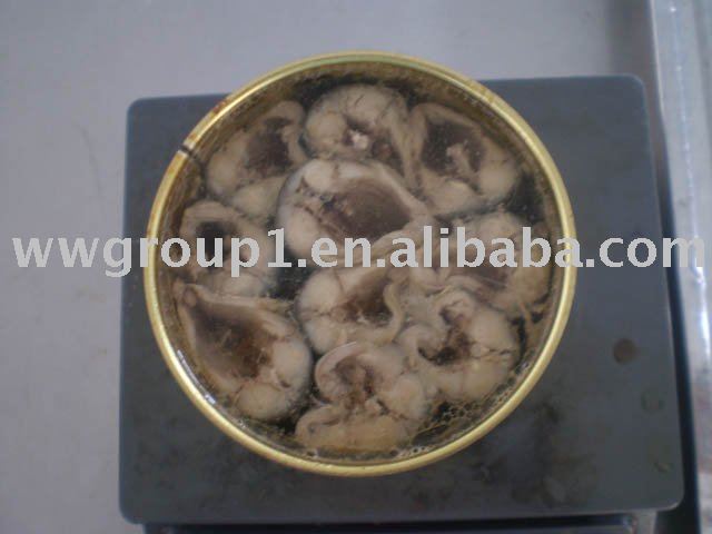 Mackerel in salted water