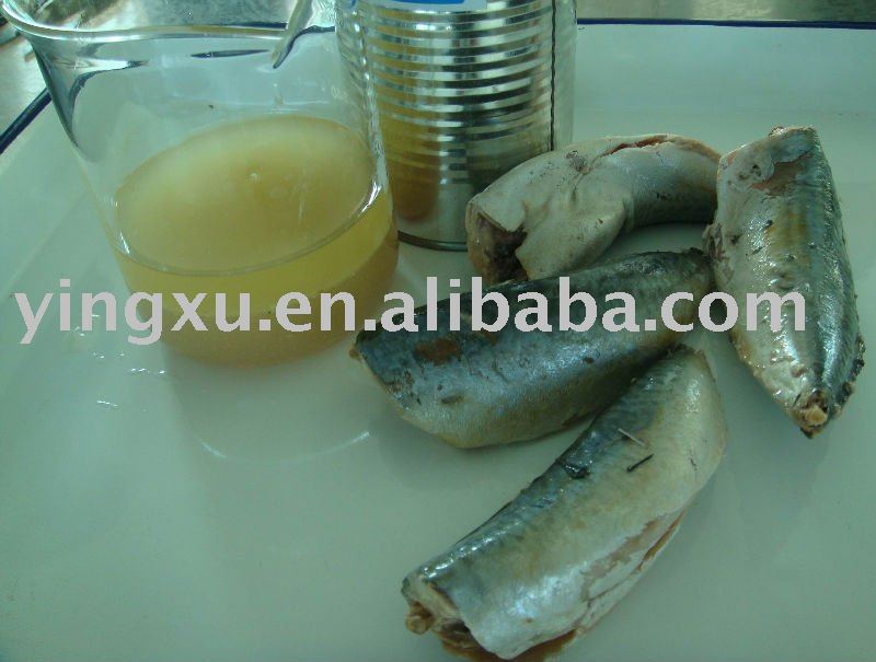 Canned mackerel (canned fish,canned seafood)