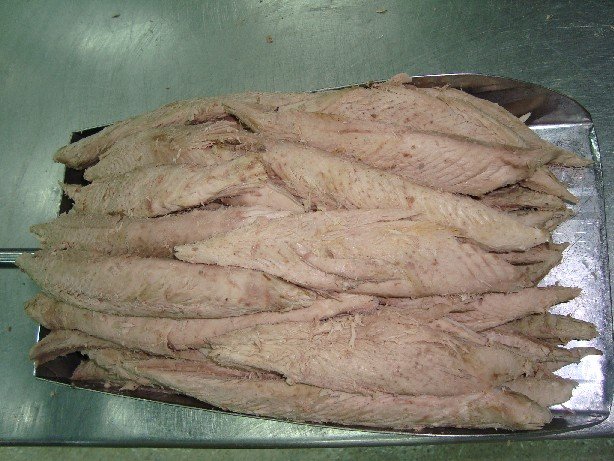 Frozen Pre-cooked tuna loins
