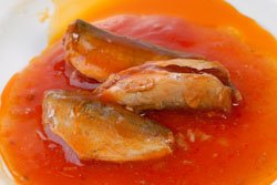 Mackerel in Tomato Sauce