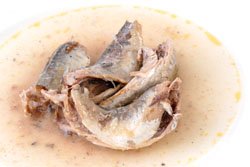 Mackerel in Brine