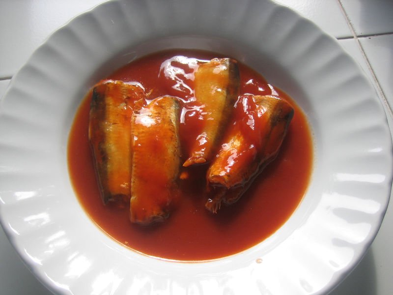 canned sardine