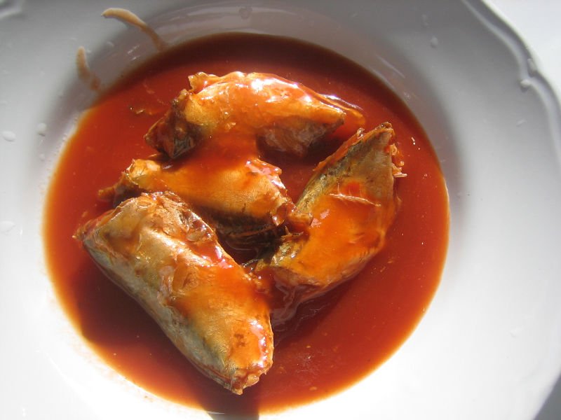 canned mackerel