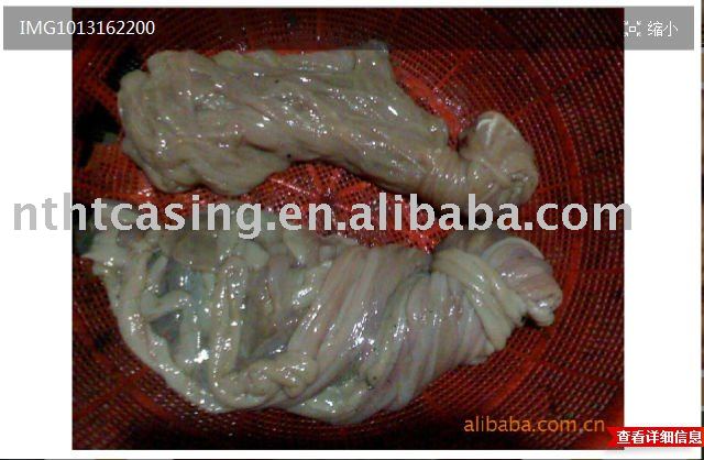 original intestine