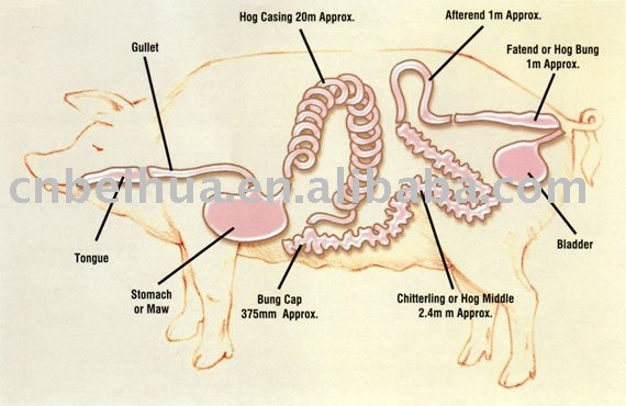 natural salted hog casing