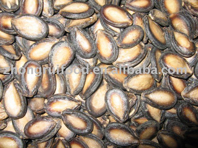 melon seed