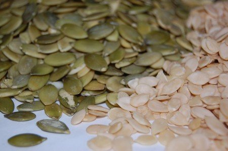 melon seeds