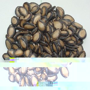 melon seed