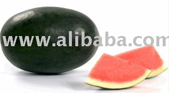 watermelon Hybrid  F1  seed-Glory