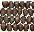 Black and Red Water Melon Seed and Pumkin Seed