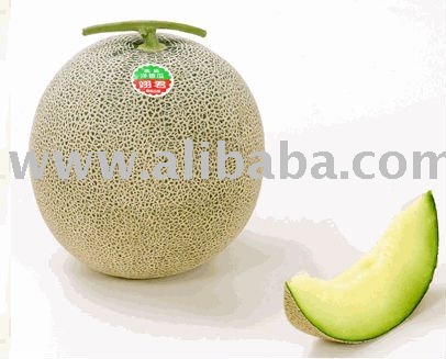 Melon Hybrid F1 - Sindy