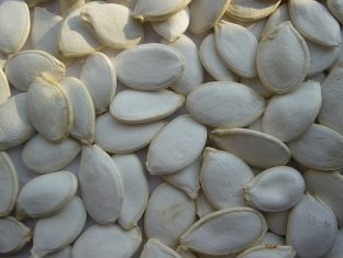 WATER MELON SEED KERNELS