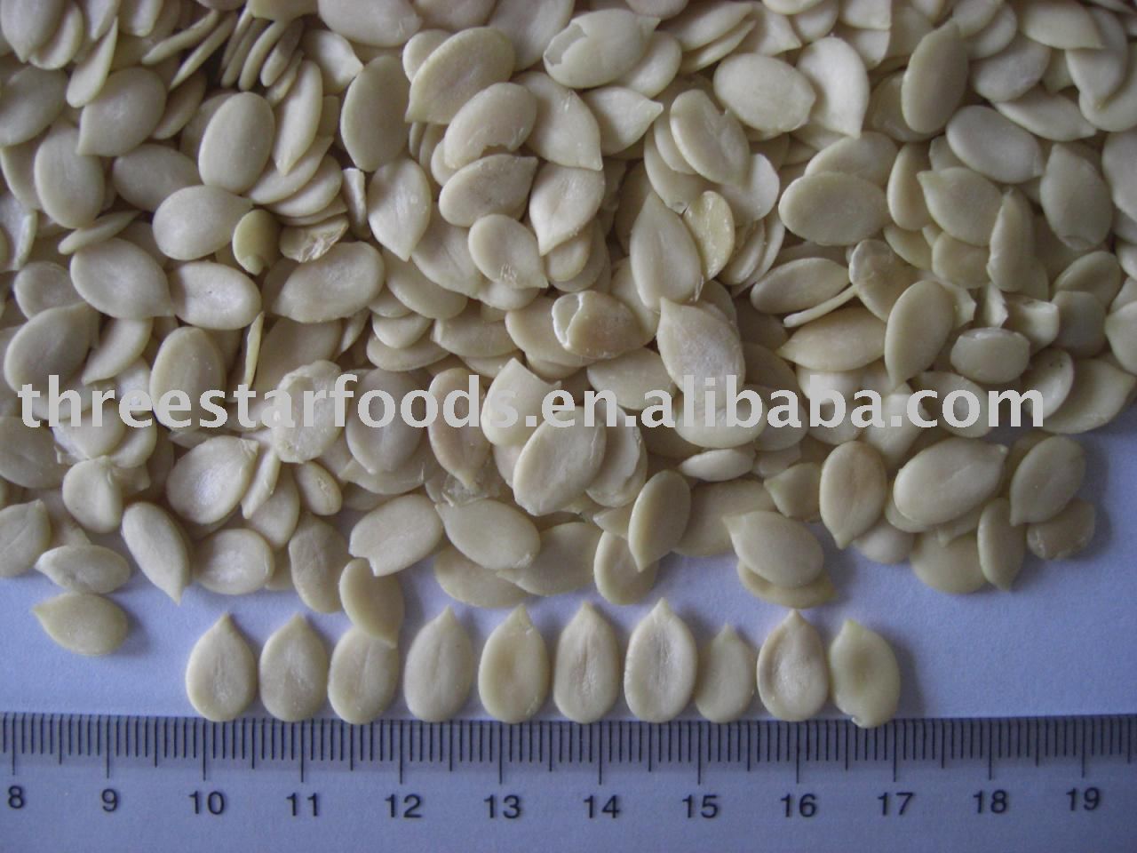 Water Melon Kernel