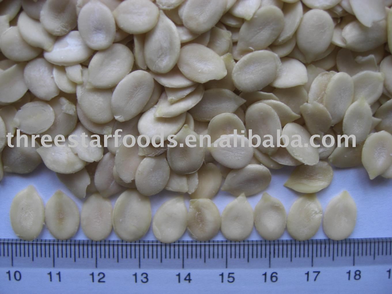 Water melon Seed Kernels