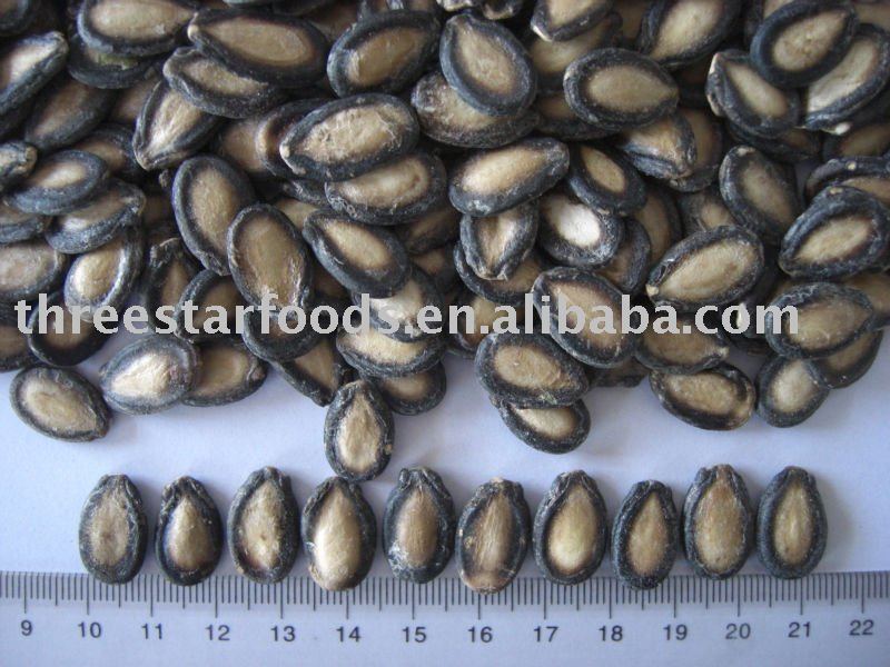 Water melon Seeds