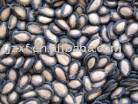Black water melon seeds