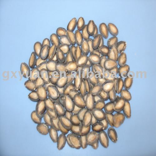 Melon Seeds