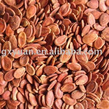 Red Melon Seed