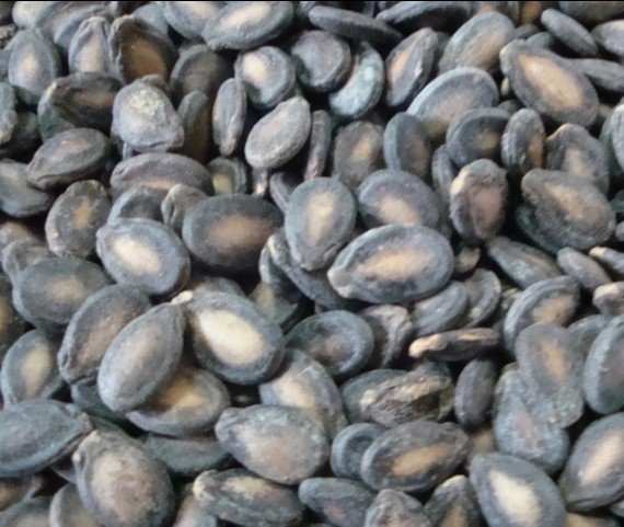 Small Roasted Watermelon Seeds