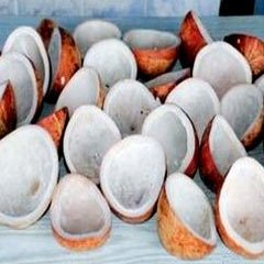 DRY COCONUT COPRA