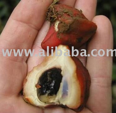 katemfe  fruit  or  miracle   fruit s ( thaumatins plants0