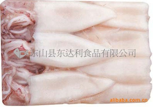  Frozen   whole   squid 