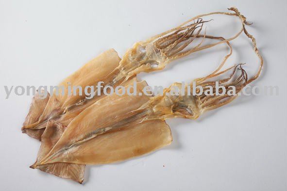 Sea food dried squid