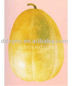 sweet melon seed,fruit seed