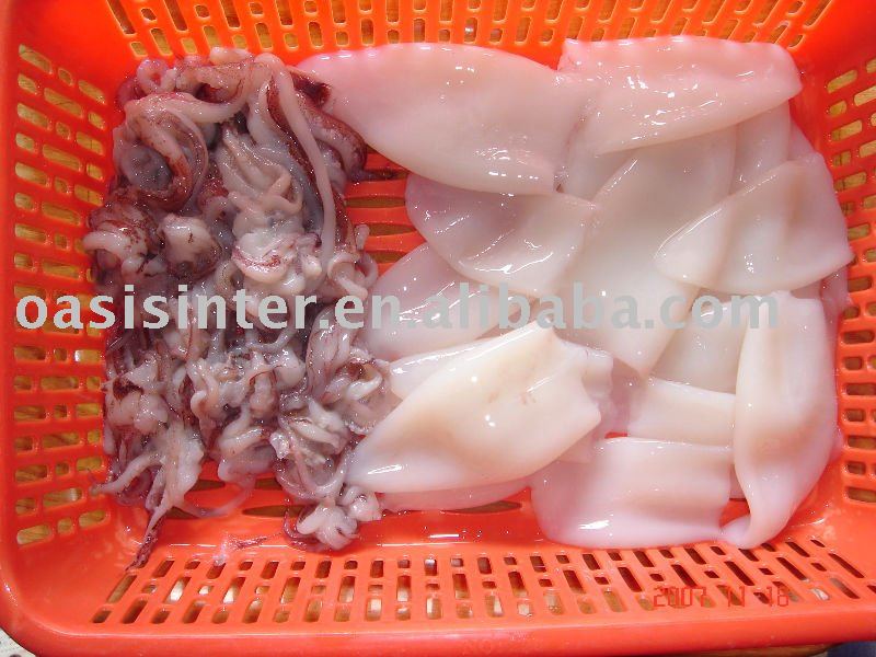 squid T+R