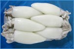 Squid Whole Cleaned