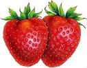 Bananas,Avocado,Pineapple,Apples,Oranges,Straw Berry,Dragon  Fruit , Passion   Fruit ,Citrus  Fruit ,Cherry,