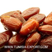Deglet Nour -  Tunisian   Dates 