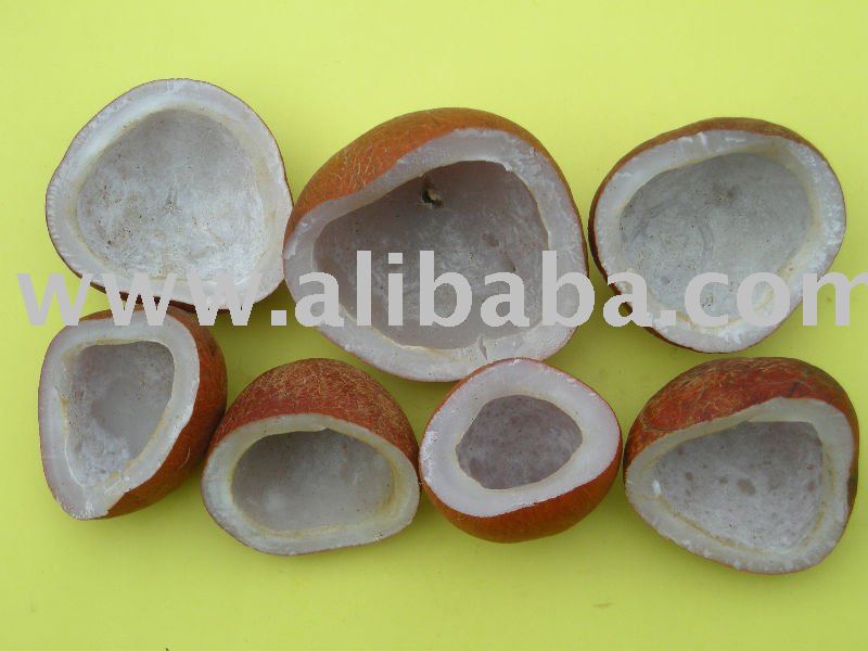 COCONUT EDIBLE COPRA DRIED