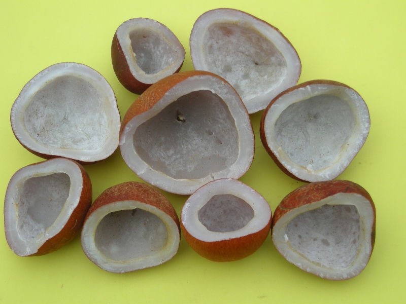 EDIBLE COCONUT COPRA